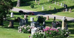 Mountain View Cemetery